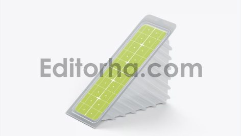 Plastic Sandwich Container Mockup 4